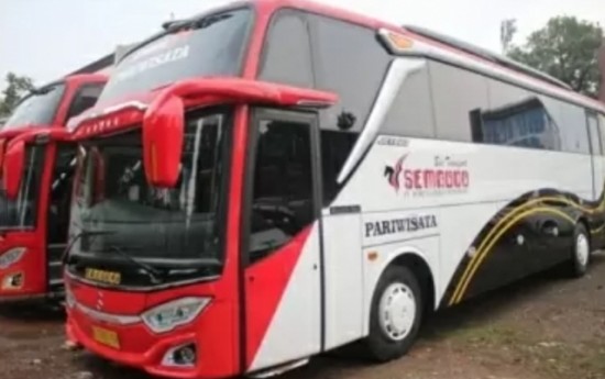 Sewa Sewa Bus Pariwisata Untuk Semua Perjalanan atau Acara