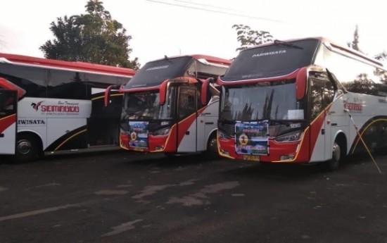 Sewa Mengetahui Apa Perbedaan Bus Pariwisata VIP, Eksekutif, dan Ekonomi