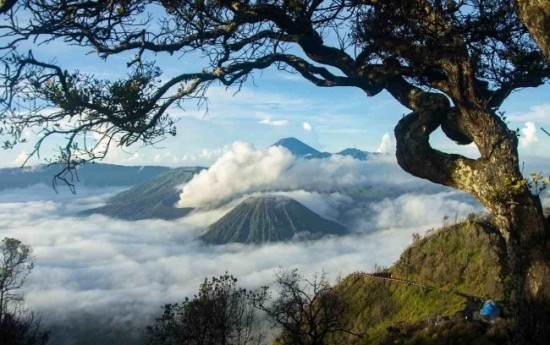 Sewa 4 Destinasi Wisata yang Anda Kunjungi dengan Paket Wisata Gunung Bromo