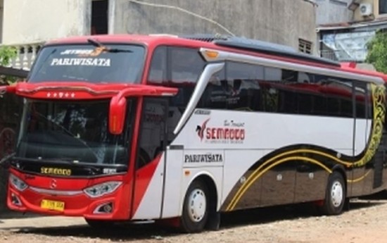 Sewa Cara Memesan Tiket Bus di Sembodo Rent Car