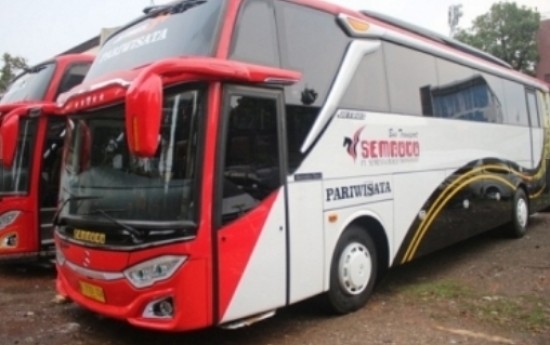 Sewa 6 Barang yang Harus Anda Bawa Ketika Bepergian Jauh dengan Bus Pariwisata