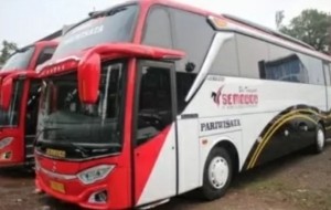 Mobil Pengantin Sewa Bus Pariwisata Untuk Semua Perjalanan atau Acara