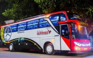 Mobil Pengantin SEMBODO Sediakan Bus Mewah Jakarta. Berapa Harga yang Ditawarkan ?
