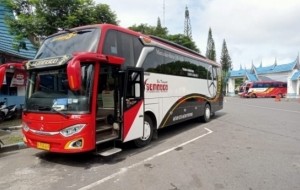 Mobil Pengantin Sewa Bus Pariwisata Terpercaya dan Berkualitas