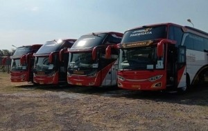 Mobil Pengantin Ini Alasan Mengapa Anda Butuh Jasa Penyewaan Bus Pariwisata