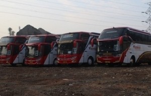 Mobil Pengantin 4 Hal yang Perlu Diperhatikan Ketika Rental Bus Pariwisata untuk Anak-anak