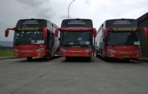 Mobil Pengantin Kelebihan dan Kekurangan Menggunakan Bus Pariwisata Premium Sembodo
