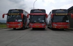 Mobil Pengantin Advantages and Disadvantages of Using Sembodo Premium Tourism Bus