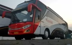 Mobil Pengantin Kelebihan Menggunakan Bus Pariwisata Sedang Untuk Liburan