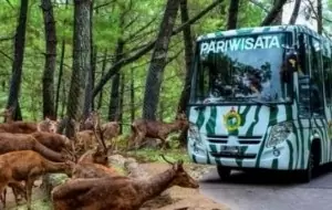 Mobil Pengantin 3 Tempat Wisata di Jawa Barat yang Cocok Dikunjungi Dengan Bus Pariwisata