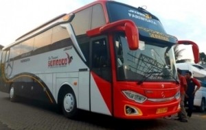 Mobil Pengantin Tips Memilih Jasa Rental Bus Profesional Untuk Liburan Anda