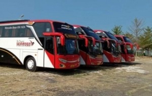 Mobil Pengantin Tips Sewa Bus Jakarta untuk Kelancaran Perjalanan Bisnis Anda