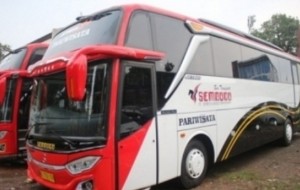 Mobil Pengantin  Tips Sewa Bus Pariwisata yang Aman dan Nyaman