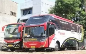 Mobil Pengantin Alasan Mengapa Perlu Sewa Bus Pariwisata di Jakarta Untuk Berkeliling