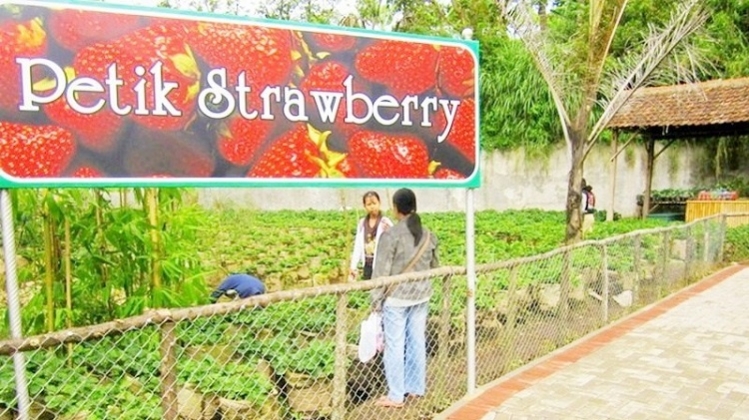 2D1N Study Tour Bandung (Tangkuban Perahu)