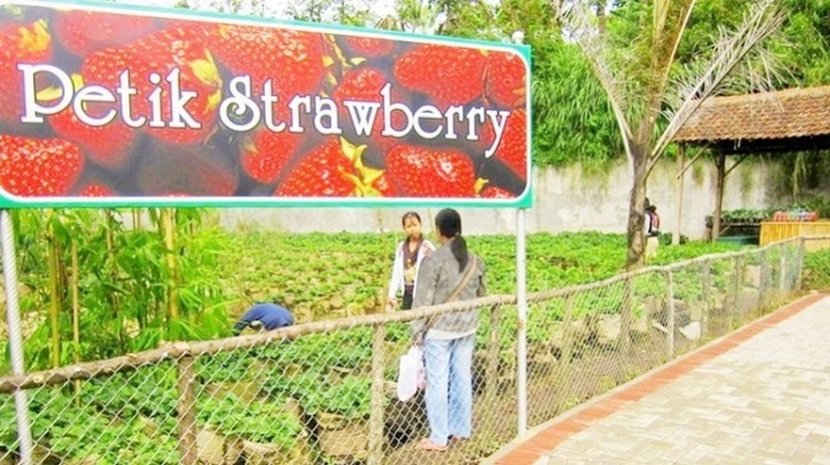 2D1N Study Tour Bandung (Tangkuban Perahu)