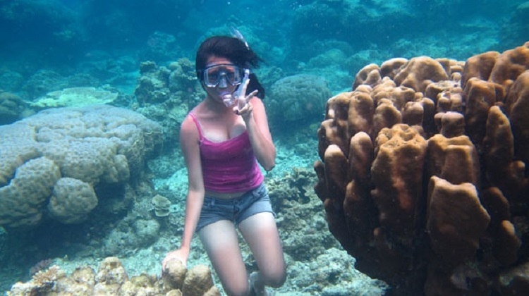 4D3N Wisata Karimun Jawa